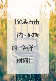 镜头直击｜法国尼斯的“海洋”时间