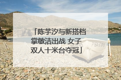 陈芋汐与新搭档掌敏洁出战 女子双人十米台夺冠