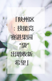 陕州区：技能竞赛进果园 “袋”出增收新希望
