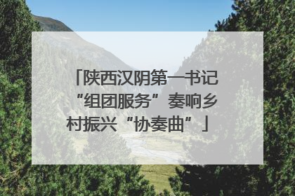 陕西汉阴第一书记“组团服务”奏响乡村振兴“协奏曲”