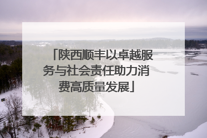 陕西顺丰以卓越服务与社会责任助力消费高质量发展