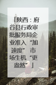 陕西：府谷县行政审批服务局企业准入“加速度” 市场生机“更盎然”
