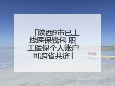 陕西9市已上线医保钱包 职工医保个人账户可跨省共济