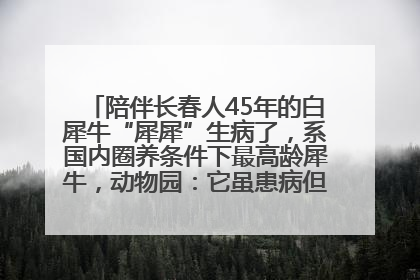 陪伴长春人45年的白犀牛“犀犀”生病了，系国内圈养条件下最高龄犀牛，动物园：它虽患病但未处于弥留之际