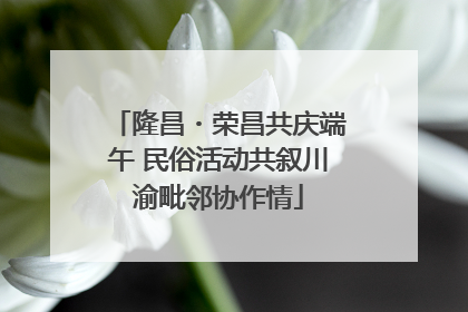 隆昌・荣昌共庆端午 民俗活动共叙川渝毗邻协作情