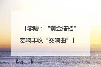 零陵：“黄金搭档”奏响丰收“交响曲”