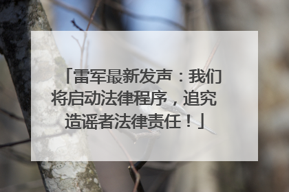 雷军最新发声：我们将启动法律程序，追究造谣者法律责任！