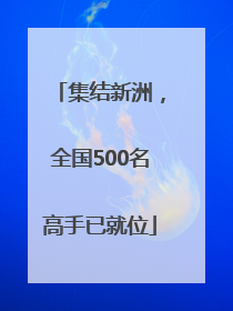 集结新洲，全国500名高手已就位