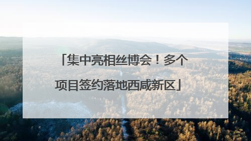 集中亮相丝博会！多个项目签约落地西咸新区