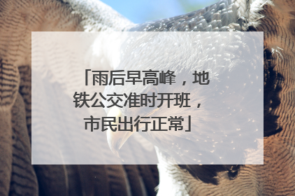 雨后早高峰，地铁公交准时开班，市民出行正常