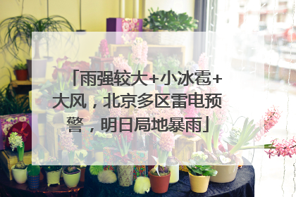 雨强较大+小冰雹+大风，北京多区雷电预警，明日局地暴雨