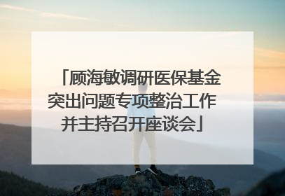 顾海敏调研医保基金突出问题专项整治工作并主持召开座谈会