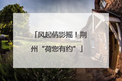 风起倩影摇！荆州“荷您有约”