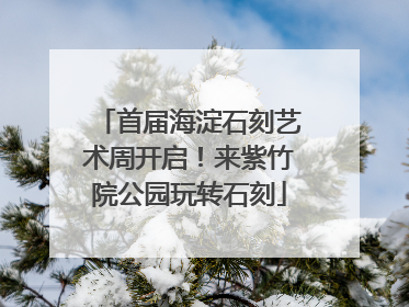 首届海淀石刻艺术周开启！来紫竹院公园玩转石刻