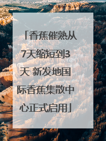 香蕉催熟从7天缩短到3天 新发地国际香蕉集散中心正式启用