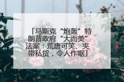 马斯克“炮轰”特朗普政府“大而美”法案：荒唐可笑、夹带私货，令人作呕