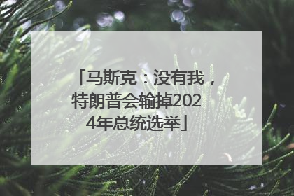 马斯克：没有我，特朗普会输掉2024年总统选举