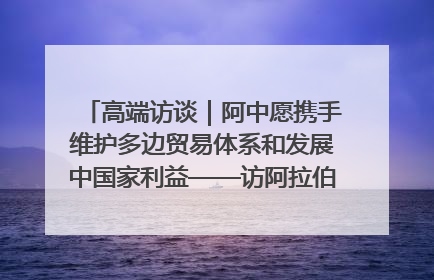 高端访谈｜阿中愿携手维护多边贸易体系和发展中国家利益——访阿拉伯议会议长亚马希