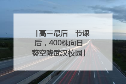 高三最后一节课后，400株向日葵空降武汉校园