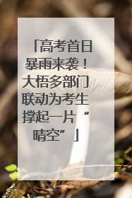 高考首日暴雨来袭！大悟多部门联动为考生撑起一片“晴空”