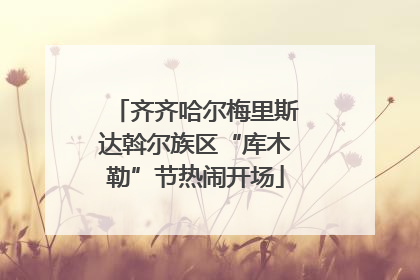 齐齐哈尔梅里斯达斡尔族区“库木勒”节热闹开场