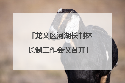 龙文区河湖长制林长制工作会议召开