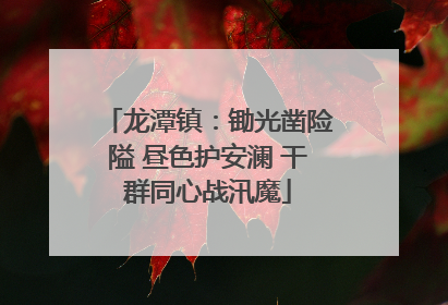 龙潭镇：锄光凿险隘 昼色护安澜 干群同心战汛魔