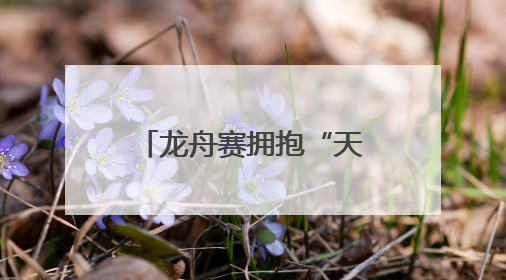 龙舟赛拥抱“天然竞技场”，12支队伍枣林湖上演“速度与激情”