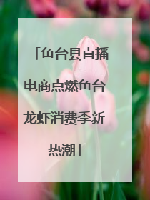 鱼台县直播电商点燃鱼台龙虾消费季新热潮