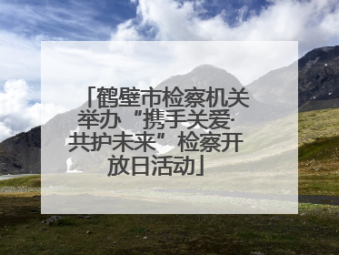 鹤壁市检察机关举办“携手关爱·共护未来”检察开放日活动