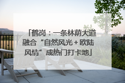 鹤岗：一条林荫大道融合“自然风光＋欧陆风情”成热门打卡地