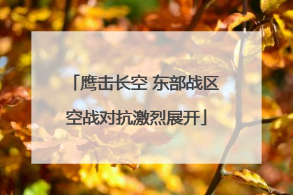 鹰击长空 东部战区空战对抗激烈展开