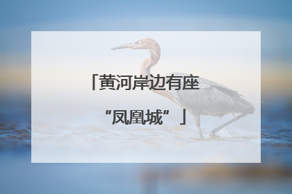 黄河岸边有座“凤凰城”