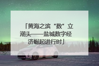 黄海之滨“数”立潮头——盐城数字经济崛起进行时