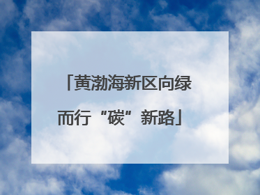 黄渤海新区向绿而行“碳”新路