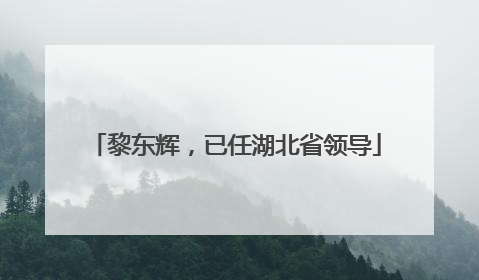 黎东辉，已任湖北省领导