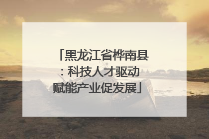 黑龙江省桦南县：科技人才驱动 赋能产业促发展