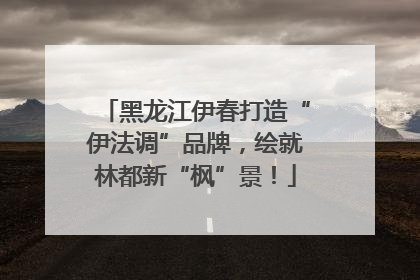 黑龙江伊春打造“伊法调”品牌，绘就林都新“枫”景！