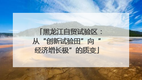 黑龙江自贸试验区：从“创新试验田”向“经济增长极”的质变