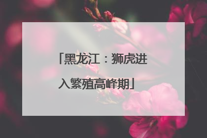 黑龙江：狮虎进入繁殖高峰期