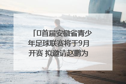 ﻿首届安徽省青少年足球联赛将于9月开赛 拟邀请赵鹏为先导赛开球