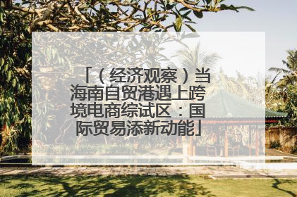 （经济观察）当海南自贸港遇上跨境电商综试区：国际贸易添新动能