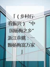 （乡村行·看振兴）“中国杨梅之乡”浙江余姚：一颗杨梅富万家