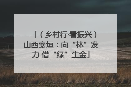 （乡村行·看振兴）山西襄垣：向“林”发力 借“绿”生金
