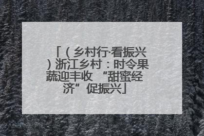 （乡村行·看振兴）浙江乡村：时令果蔬迎丰收 “甜蜜经济”促振兴