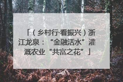 （乡村行·看振兴）浙江龙泉：“金融活水”灌溉农业“共富之花”