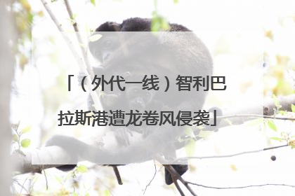 （外代一线）智利巴拉斯港遭龙卷风侵袭