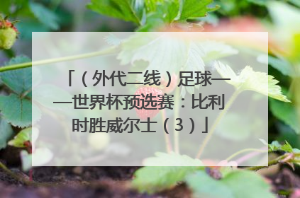 （外代二线）足球——世界杯预选赛：比利时胜威尔士（3）