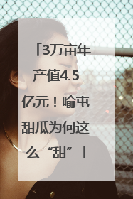 3万亩年产值4.5亿元！喻屯甜瓜为何这么“甜”