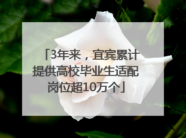 3年来，宜宾累计提供高校毕业生适配岗位超10万个